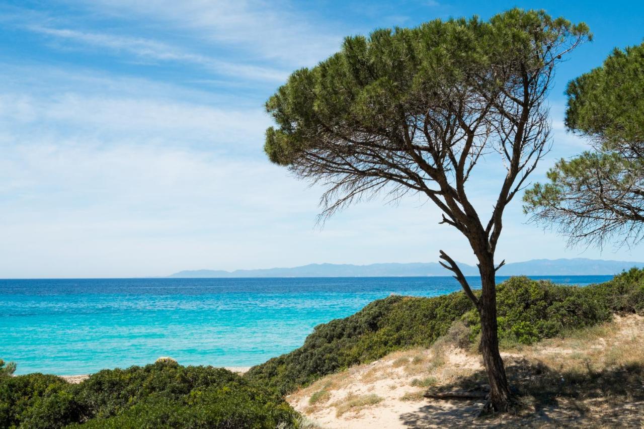 Appartamento Con Vista Mare A Terramala Terra Mala Buitenkant foto